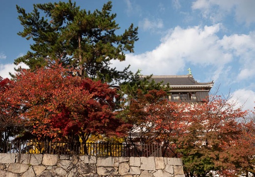 202111251525-DSC03518.jpg