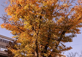 20211128080238-M2101K9R.jpg