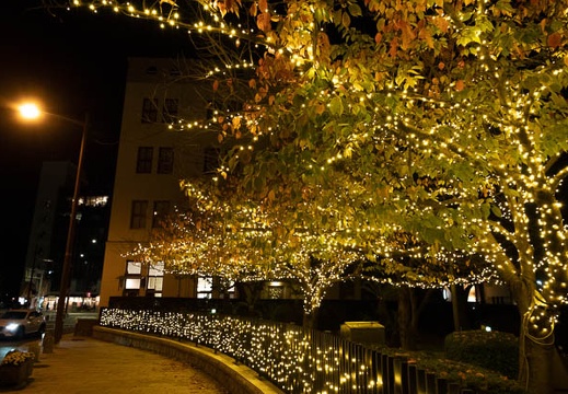202111281856-DSC03658.jpg