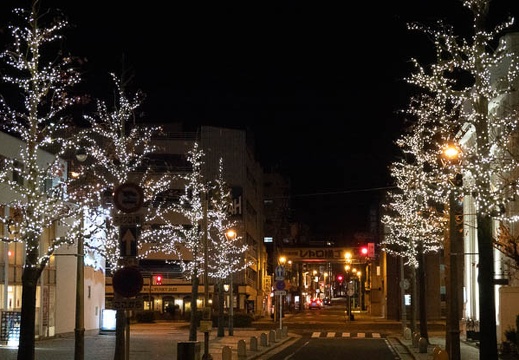 202111282007-DSC03857.jpg