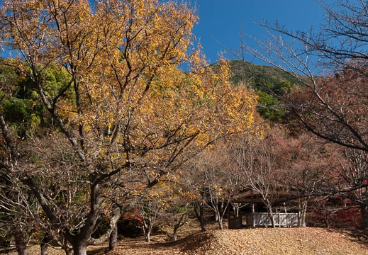 202111291110-DSC03976.jpg