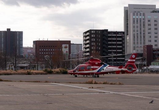 202112201255-DSC08982.jpg