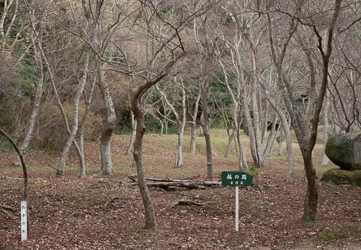 202112211403-DSC05245.jpg