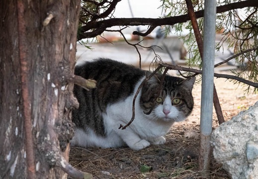 202201031620-DSC05474.jpg