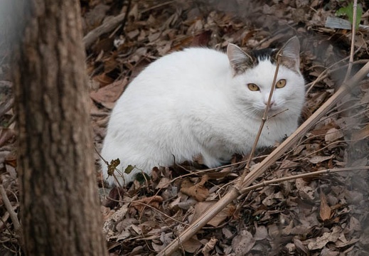 202201031630-DSC05496.jpg
