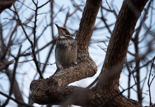 202201031635-DSC05514.jpg