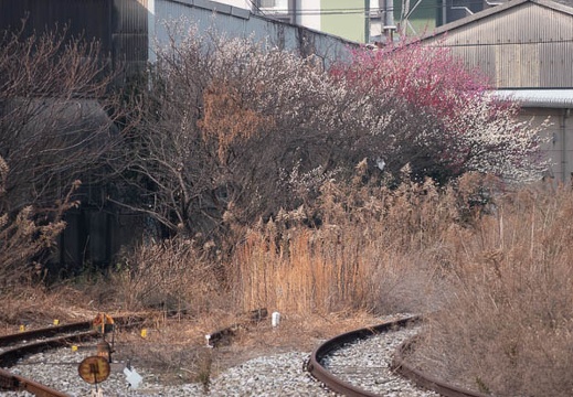 202202021052-DSC05953.jpg