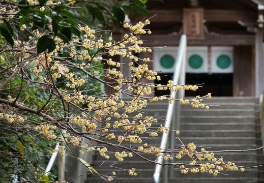 202202031407-DSC06264.jpg
