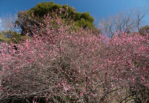 202202051426-DSC06669.jpg
