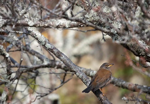 202202051445-DSC06705.jpg