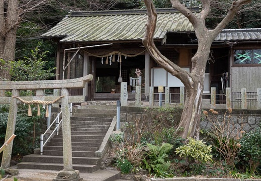 202202101210-DSC07039.jpg