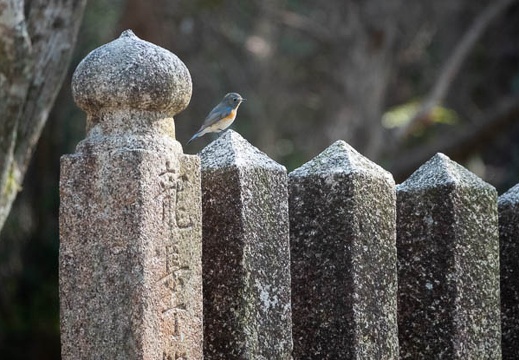 202202111349-DSC07428.jpg