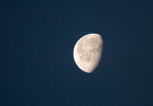 202202220647-DSC07781.jpg
