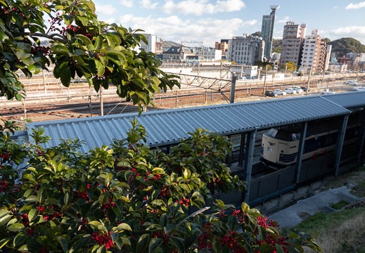 202202220822-DSC07833.jpg