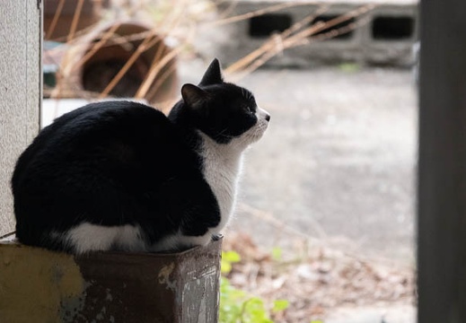 202202231504-DSC08066.jpg