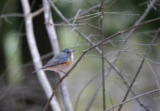202202231537-DSC08130.jpg