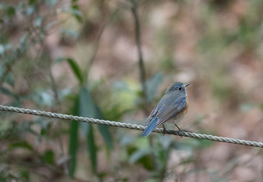 202202231537-DSC08134.jpg