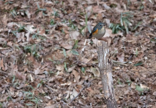 202202231540-DSC08145.jpg