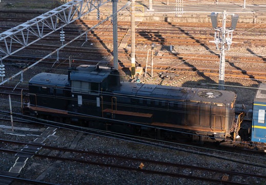 202202280819-DSC09274.jpg