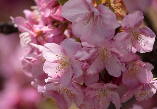 202203051114-DSC08312.jpg