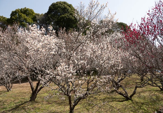 202203051205-DSC08475.jpg