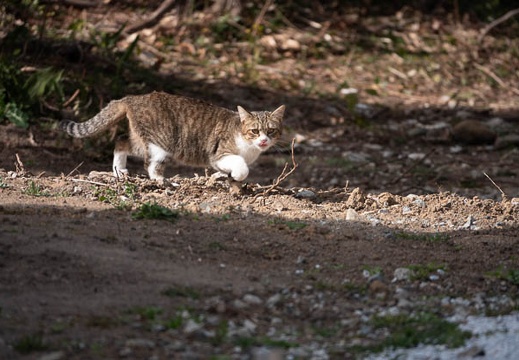 202203051441-DSC08540.jpg