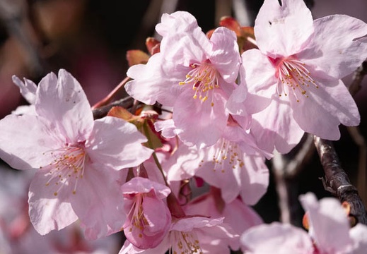 202203051441-DSC08548.jpg