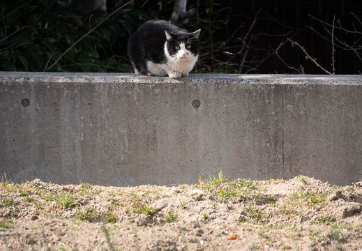 202203051444-DSC08557.jpg
