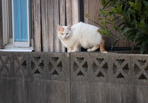 202203051454-DSC08569.jpg