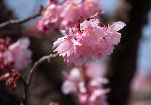 202203051502-DSC08581.jpg