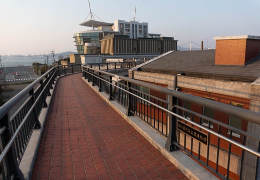202203091725-DSC09356.jpg