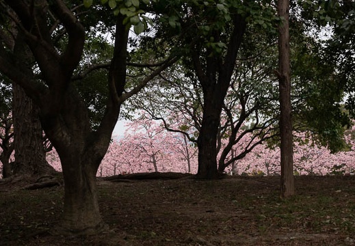 202203120916-DSC08584.jpg