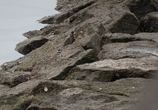 202203121004-DSC08692.jpg