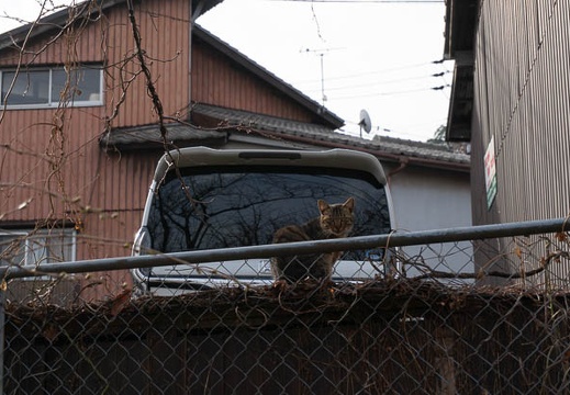 202203170825-DSC09445.jpg