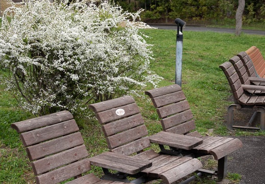 202203201115-DSC09677.jpg