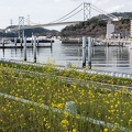 202203201555-DSC00040.jpg