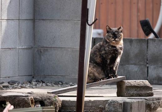 202203210916-DSC00132.jpg