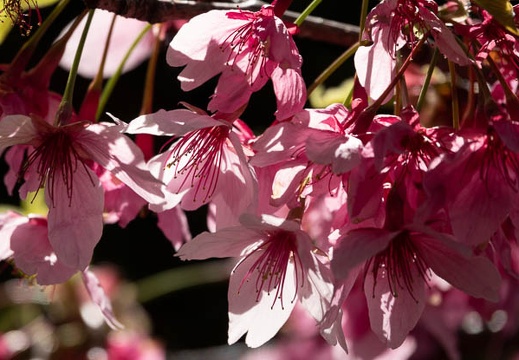 202203211049-DSC00227.jpg