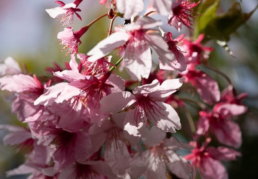 202203211049-DSC00229.jpg