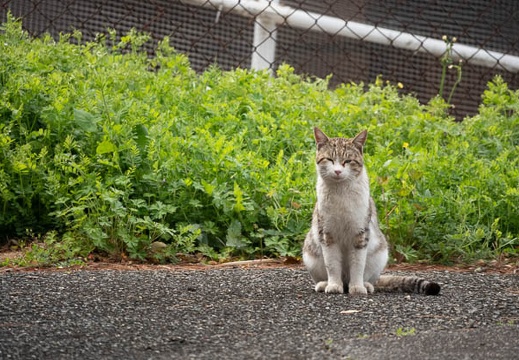 202203211115-DSC00281.jpg