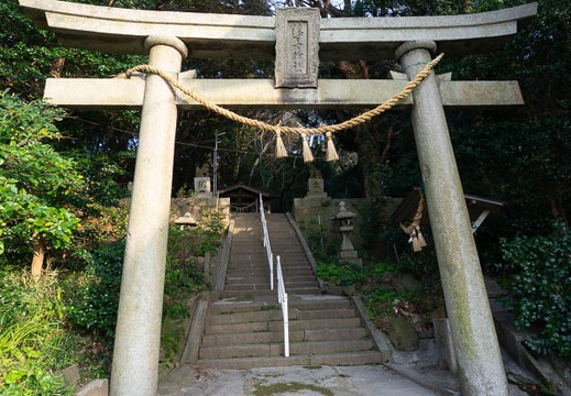 202203241728-DSC09525.jpg