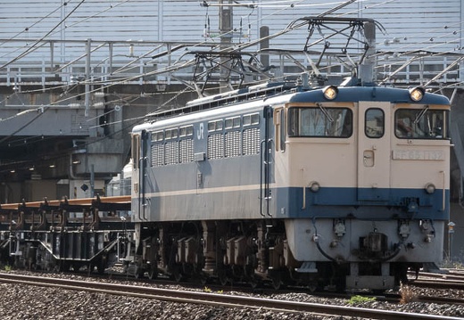 202203271624-DSC00193.jpg