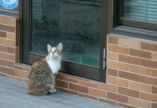 202203281822-DSC00327.jpg