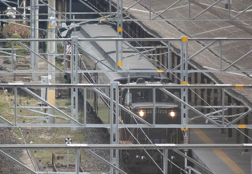 202203300824-DSC00618.jpg