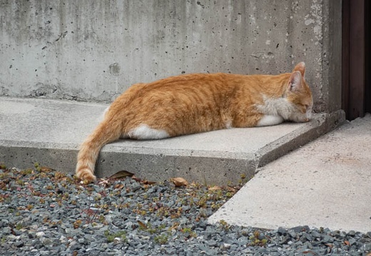 202203301215-DSC00668.jpg