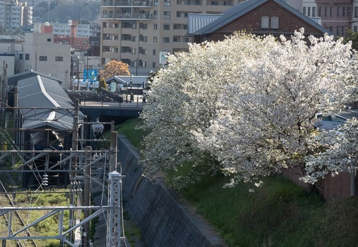 202204010824-DSC00988.jpg