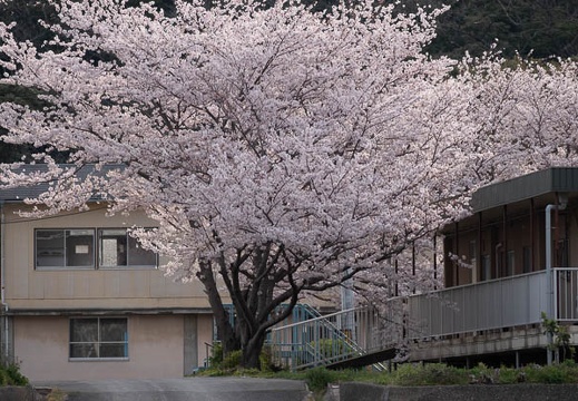 202204020719-DSC00423.jpg