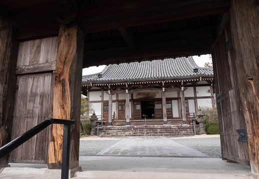 202204020937-DSC00514.jpg