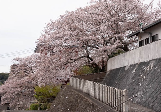 202204020946-DSC00550.jpg