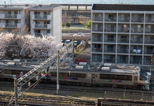 202204041723-DSC01269.jpg